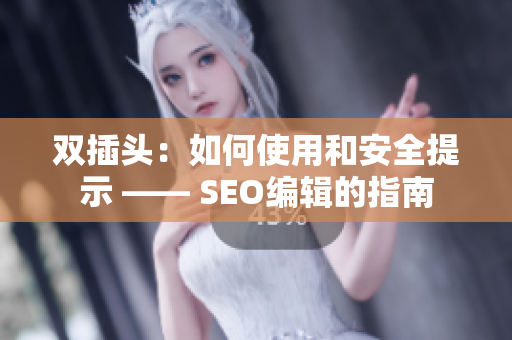双插头：如何使用和安全提示 —— SEO编辑的指南