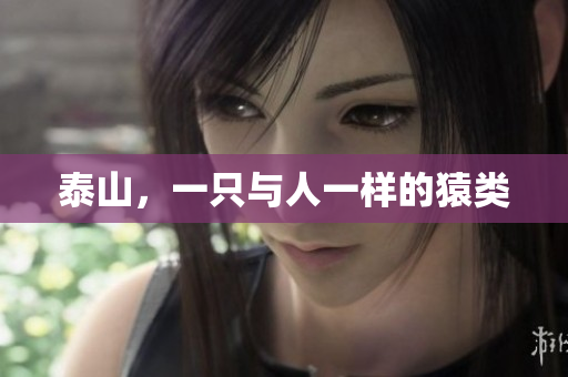 泰山，一只与人一样的猿类