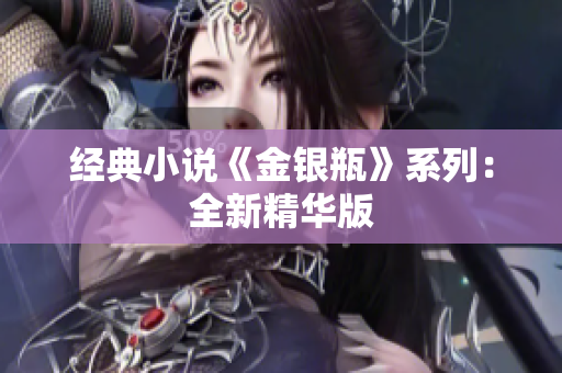 经典小说《金银瓶》系列：全新精华版