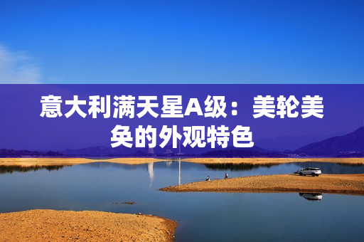 意大利满天星A级：美轮美奂的外观特色