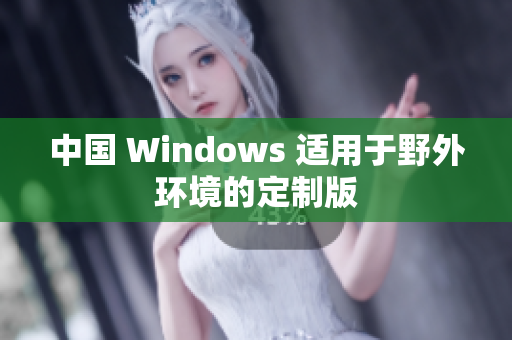 中国 Windows 适用于野外环境的定制版