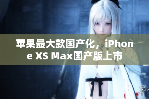 苹果最大款国产化，iPhone XS Max国产版上市