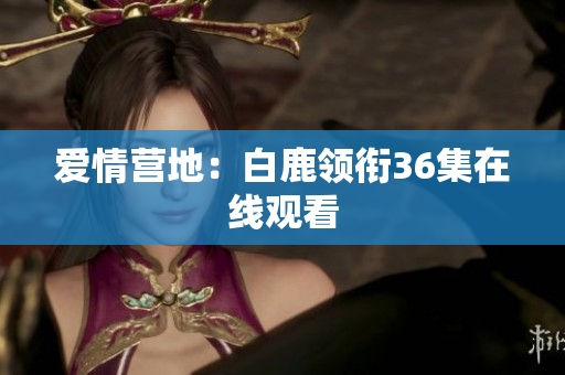 爱情营地：白鹿领衔36集在线观看
