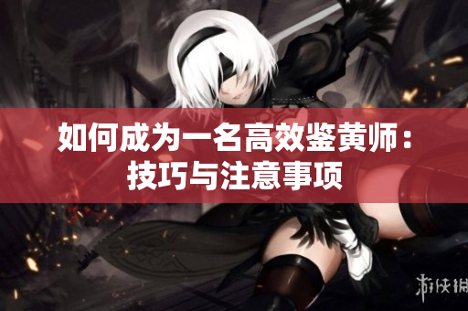如何成为一名高效鉴黄师：技巧与注意事项