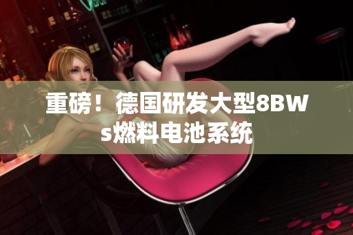 重磅！德国研发大型8BWs燃料电池系统