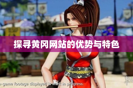 探寻黄冈网站的优势与特色