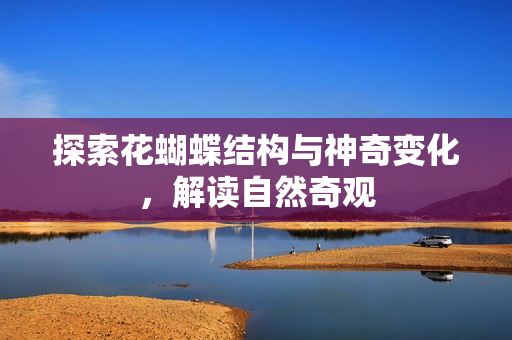 探索花蝴蝶结构与神奇变化，解读自然奇观