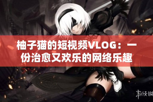 柚子猫的短视频VLOG：一份治愈又欢乐的网络乐趣