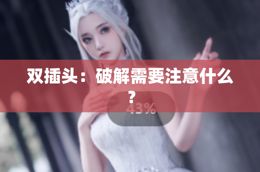 双插头：破解需要注意什么？