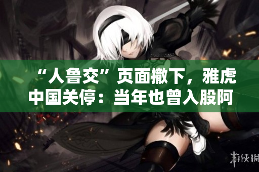 “人鲁交”页面撤下，雅虎中国关停：当年也曾入股阿里