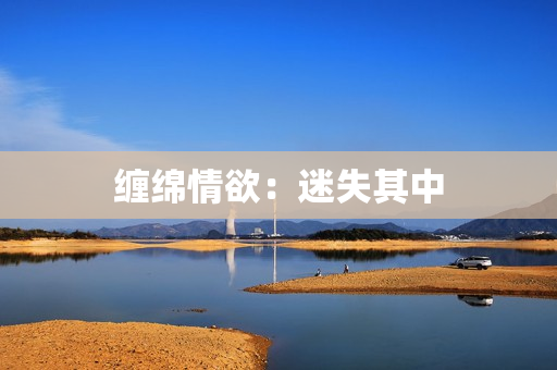 缠绵情欲：迷失其中