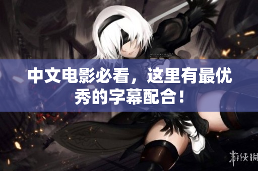 中文电影必看，这里有最优秀的字幕配合！