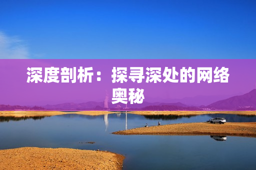 深度剖析：探寻深处的网络奥秘