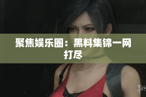 聚焦娱乐圈：黑料集锦一网打尽