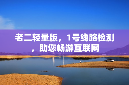 老二轻量版，1号线路检测，助您畅游互联网