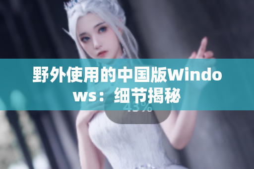 野外使用的中国版Windows：细节揭秘