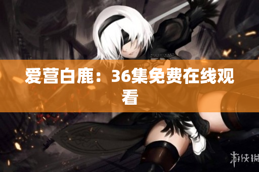 爱营白鹿：36集免费在线观看