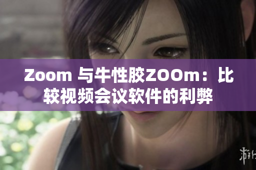 Zoom 与牛性胶ZOOm：比较视频会议软件的利弊