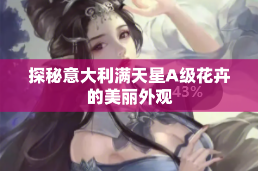 探秘意大利满天星A级花卉的美丽外观