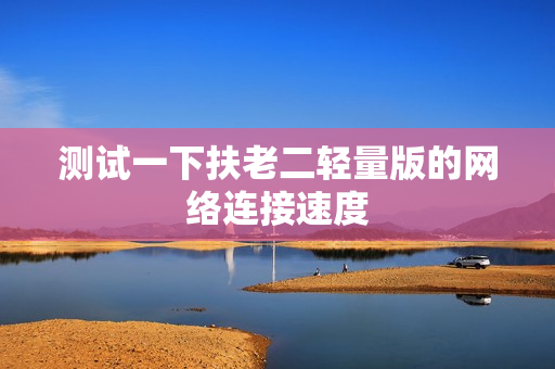 测试一下扶老二轻量版的网络连接速度