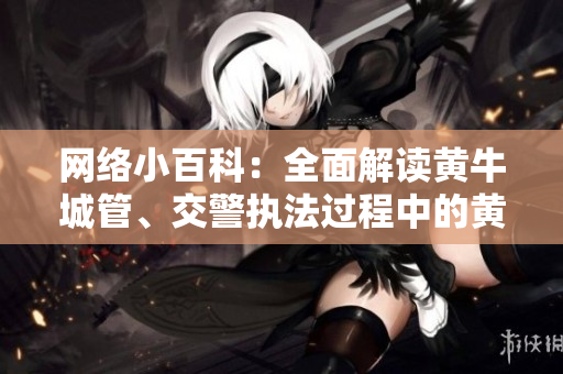 网络小百科：全面解读黄牛城管、交警执法过程中的黄黄片段