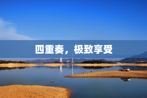 四重奏，极致享受
