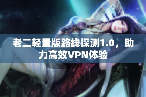 老二轻量版路线探测1.0，助力高效VPN体验