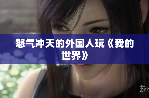 怒气冲天的外国人玩《我的世界》