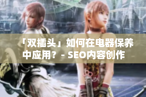 「双插头」如何在电器保养中应用？- SEO内容创作