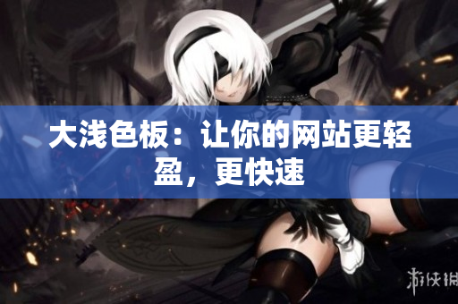 大浅色板：让你的网站更轻盈，更快速