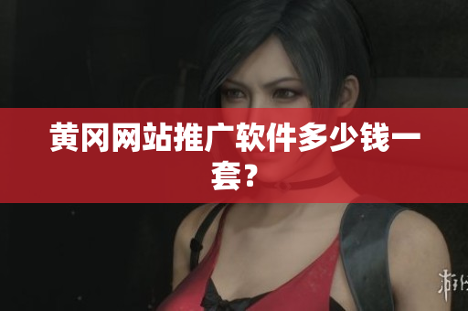 黄冈网站推广软件多少钱一套？