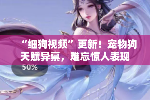 “细狗视频”更新！宠物狗天赋异禀，难忘惊人表现