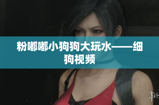 粉嘟嘟小狗狗大玩水——细狗视频