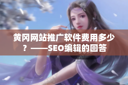 黄冈网站推广软件费用多少？——SEO编辑的回答