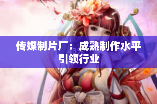 传媒制片厂：成熟制作水平引领行业