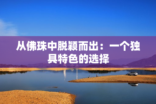 从佛珠中脱颖而出：一个独具特色的选择