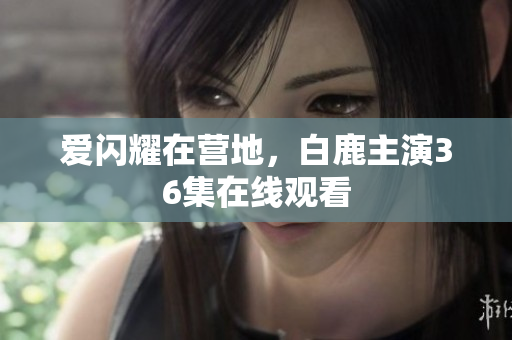 爱闪耀在营地，白鹿主演36集在线观看
