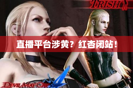 直播平台涉黄？红杏闭站！