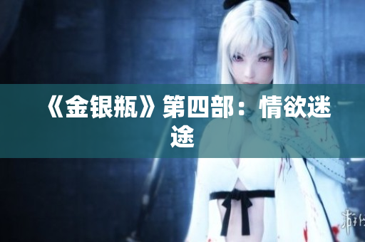 《金银瓶》第四部：情欲迷途