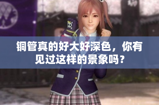 铜管真的好大好深色，你有见过这样的景象吗？