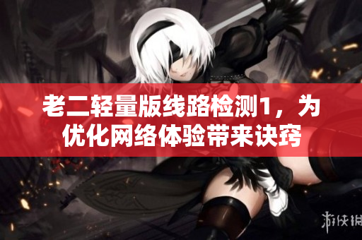 老二轻量版线路检测1，为优化网络体验带来诀窍