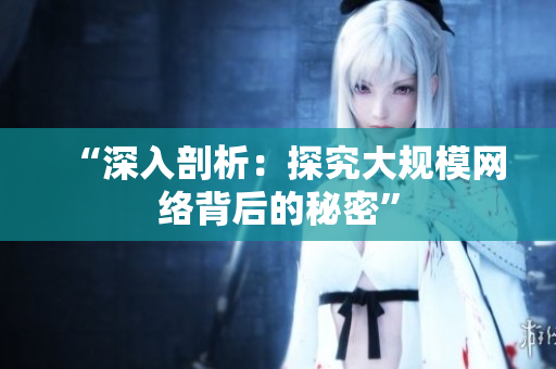 “深入剖析：探究大规模网络背后的秘密”