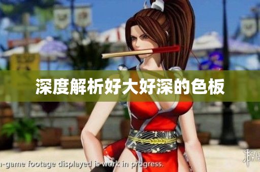 深度解析好大好深的色板