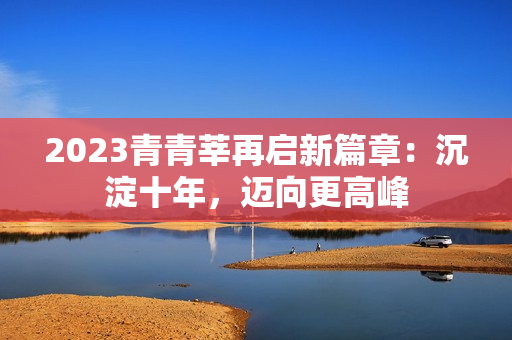 2023青青莘再启新篇章：沉淀十年，迈向更高峰
