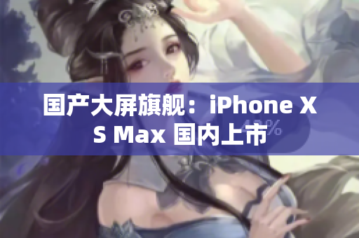 国产大屏旗舰：iPhone XS Max 国内上市