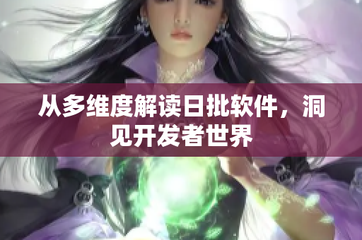 从多维度解读日批软件，洞见开发者世界