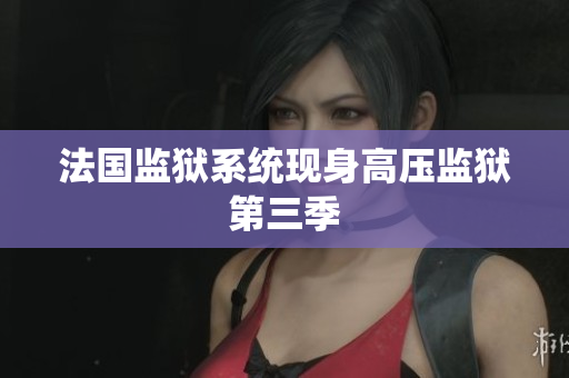 法国监狱系统现身高压监狱第三季