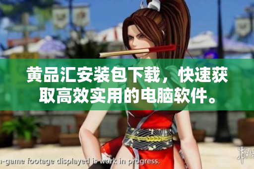 黄品汇安装包下载，快速获取高效实用的电脑软件。