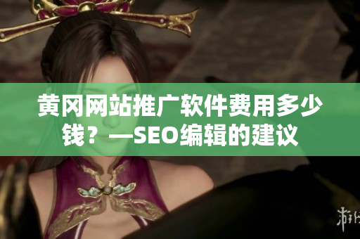 黄冈网站推广软件费用多少钱？—SEO编辑的建议