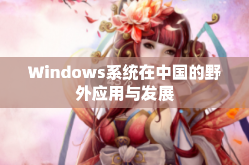 Windows系统在中国的野外应用与发展